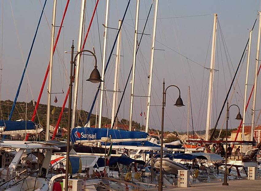 Smojina stotka, Vela i Mala luka Dalmacije