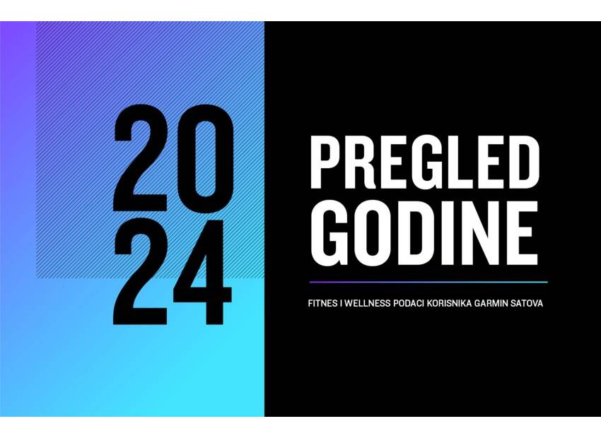 Pregled godine